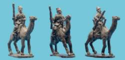 Mounted Egyptian Camel Corps